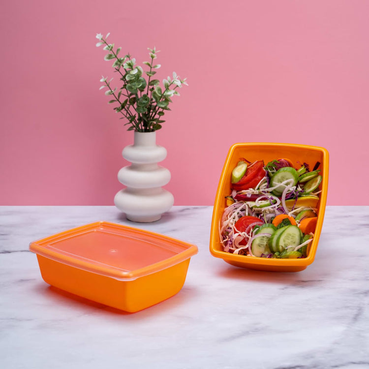 Premium Airtight Plastic Food Storage Container with Lid